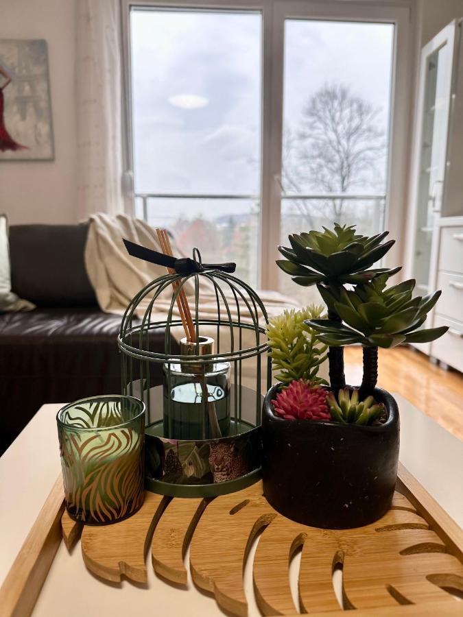 Apartman Floresta - In Front Of Japanese Garden, Enchanting Nature View, Spotless And Cozy Vrnjacka Banja Exterior photo